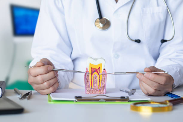 Best Orthodontic Emergency Dentist in Wrightsville, GA